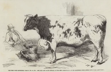 The First Prize Shorthorn, Class 10, No 89, £25; and Gold and Silver Medals, as the Best Steer or Ox, at the Smithfield Club Cattle Show